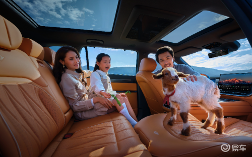 启源Q07vs东风奕派eπ008:谁是20万内舒适标杆?