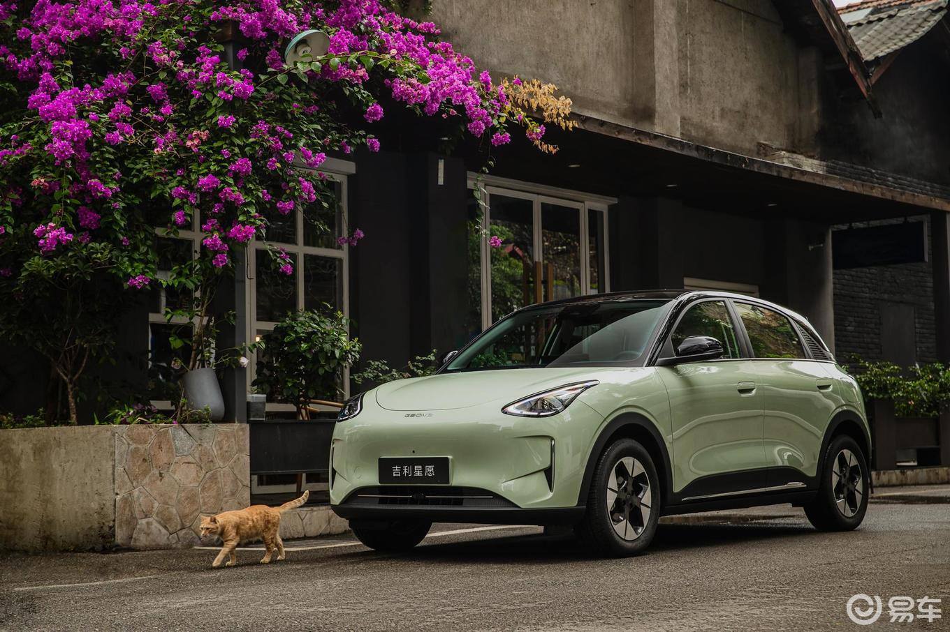 10万内纯电小车怎么选？是买吉利星愿，还是比亚迪海鸥！
