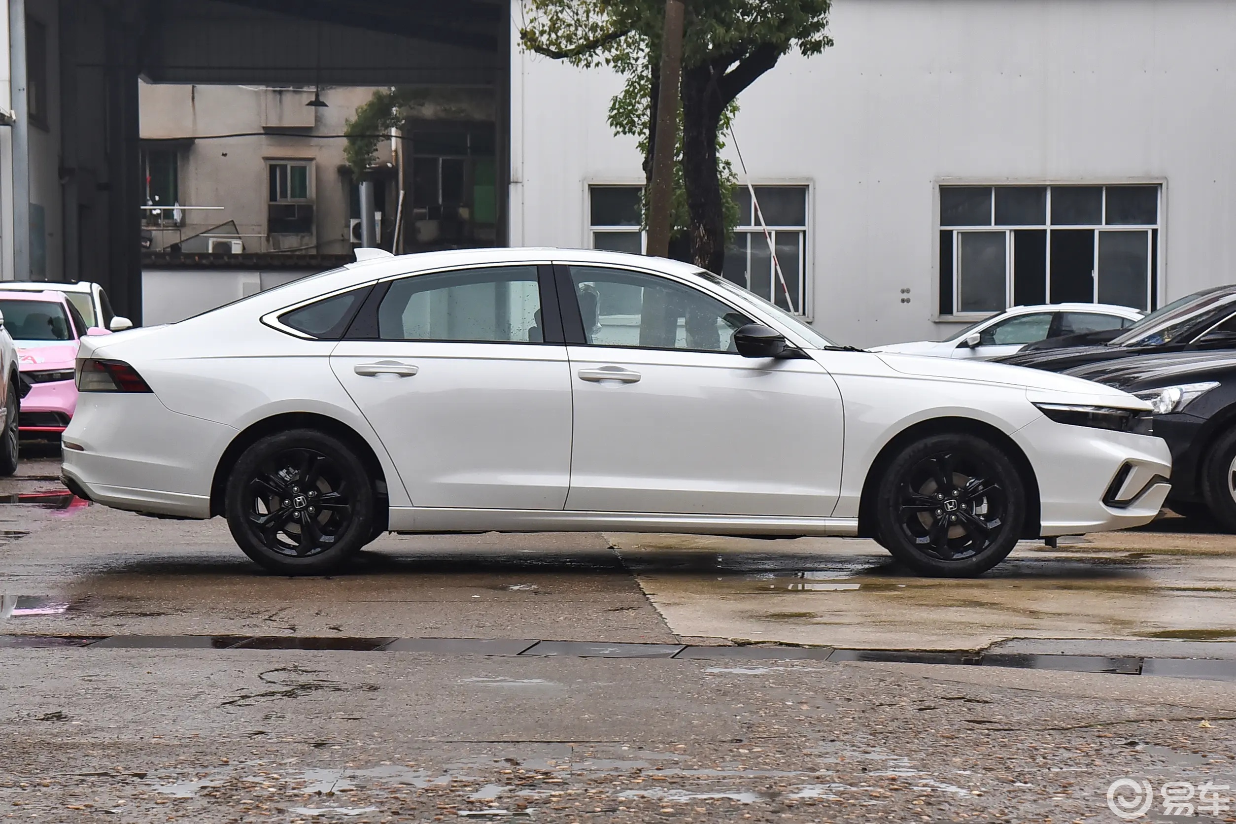 20万合资品牌B级车对比，大众迈腾和本田雅阁该怎么选？