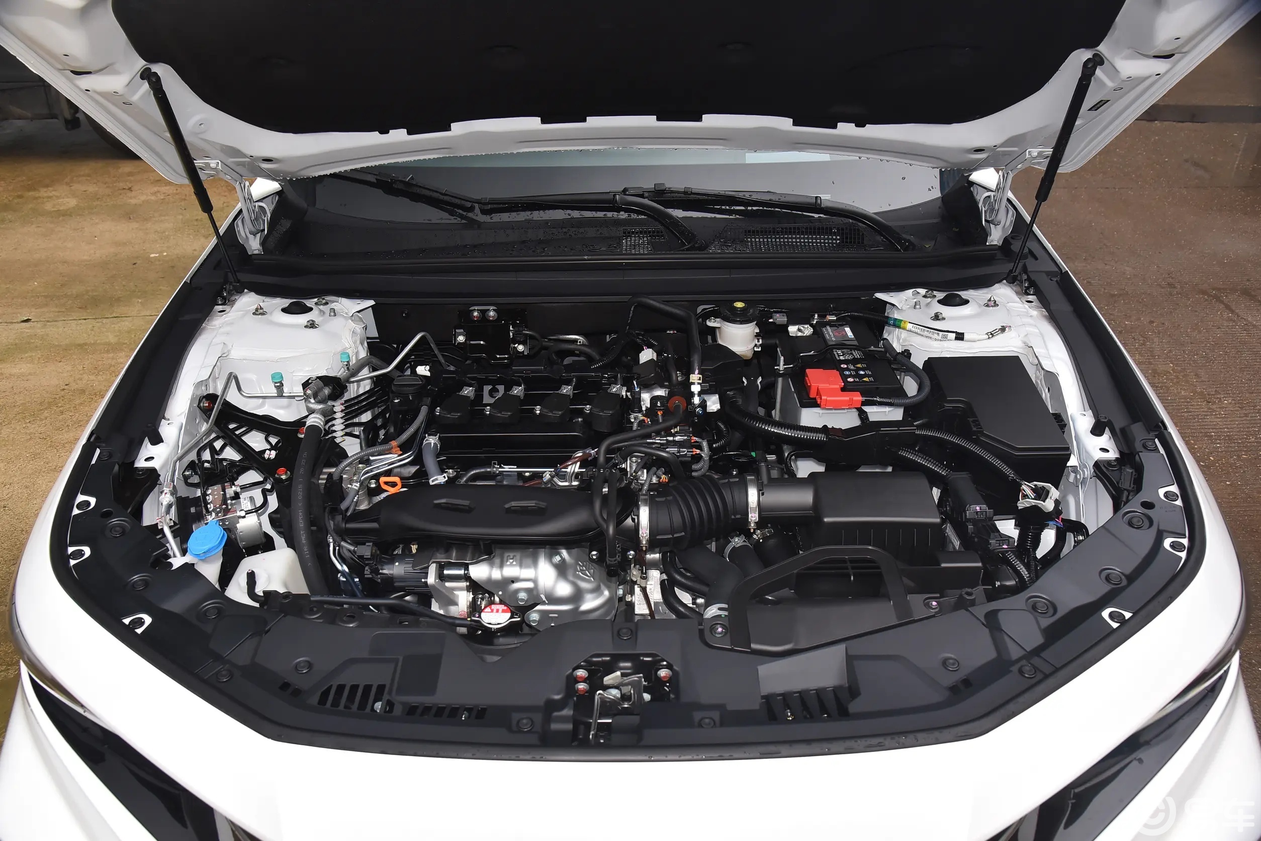 20万合资品牌B级车对比，大众迈腾和本田雅阁该怎么选？