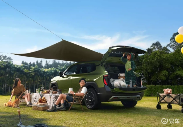 东风纳米06 vs 元UP，哪款更划算