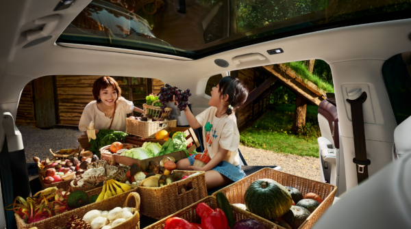 全新岚图知音VS极氪7X:家庭纯电SUV终极对决