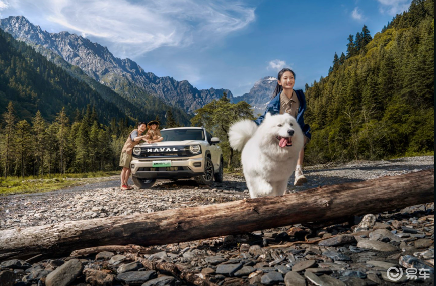 哈弗大狗PLUS上市：10.98万起开启家庭泛越野新体验