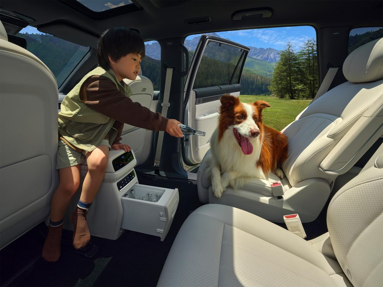 二胎家庭购车终极指南详测东风奕派eπ008VS零跑C16